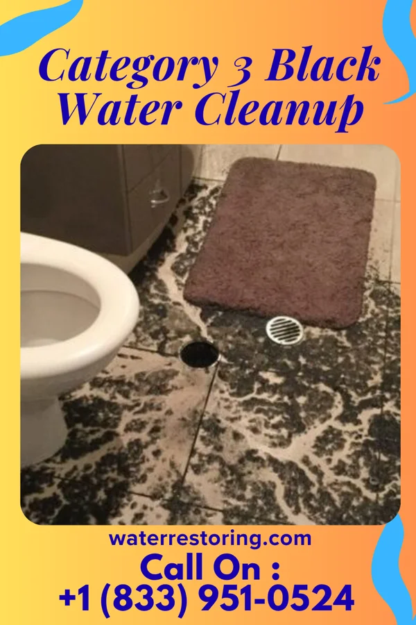 Category 3 Black Water Cleanup in Waverly, SD
