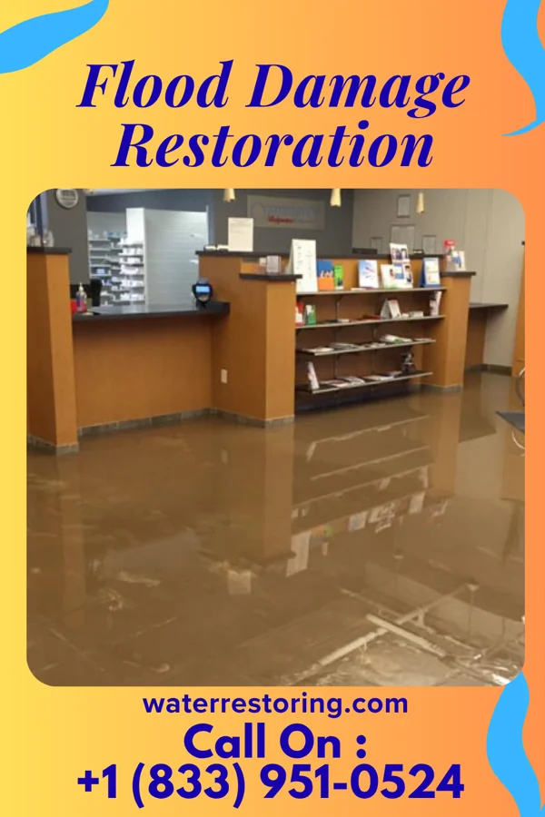 Flood Damage Restoration in Waverly, SD